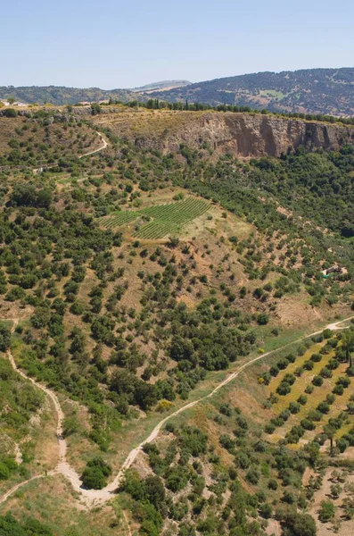 Andalusian Landscape Summer Granada Spain — Stock Photo, Image