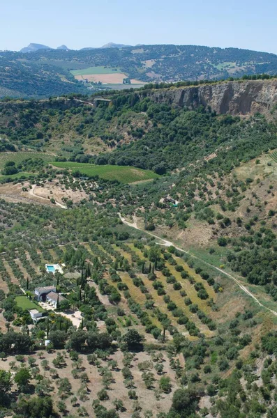 Andalusian Landscape Summer Granada Spain — Stock Photo, Image