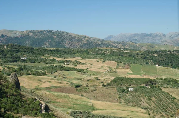 夏のアンダルシアの風景 グラナダ付近 スペイン — ストック写真
