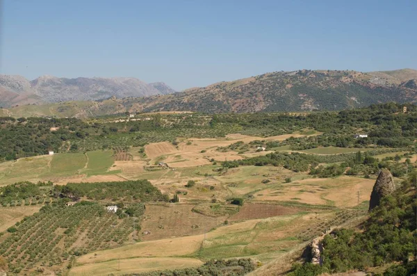 Andalusian Landscape Summer Granada Spain — Stock Photo, Image