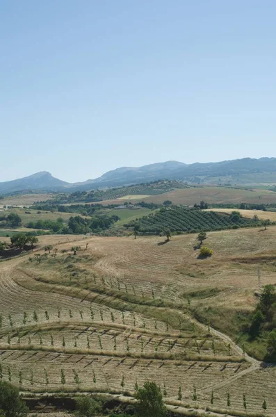 Andalusian Landscape City Ronda Spain — Stock Photo, Image