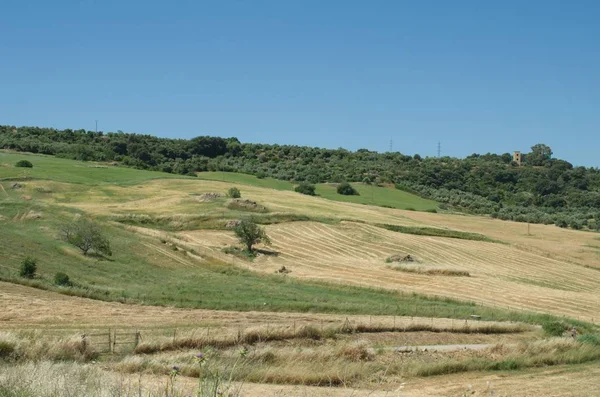 Andalusian Landscape City Ronda Spain — Stock Photo, Image