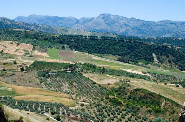 Andalusian Landscape City Ronda Spain — Stock Photo, Image