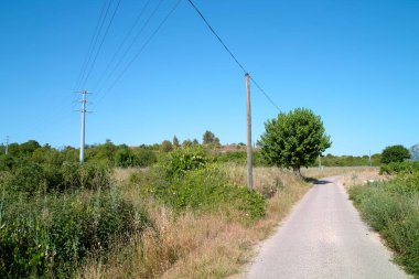 Çayırlar, tarlalar ve ağaçlar - kaynaklarda tipik bir manzara (Fransa)