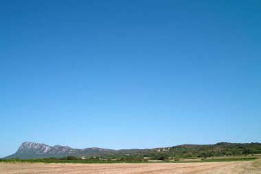 Çayırlar, tarlalar ve ağaçlar - kaynaklarda tipik bir manzara (Fransa)