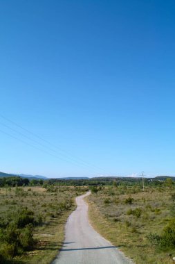 Çayırlar, tarlalar ve ağaçlar - kaynaklarda tipik bir manzara (Fransa)
