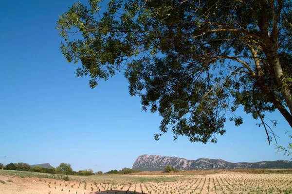 Ängar Fält Och Träd Ett Typiskt Provocerande Landskap Frankrike — Stockfoto