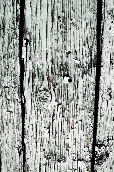 Выветриваемая Поверхность Старых Лакированных Листьев Очищенной Краской — стоковое фото