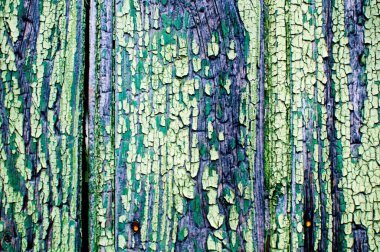 Eski verniklenmiş yaprakların yıpranmış yüzeyi ve soyulmuş boya.