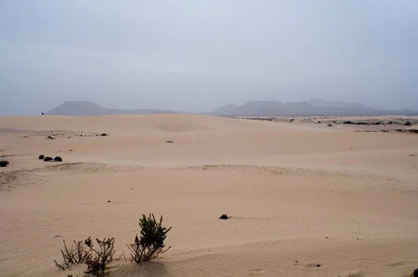 Dunas Arena Anchas Secas —  Fotos de Stock