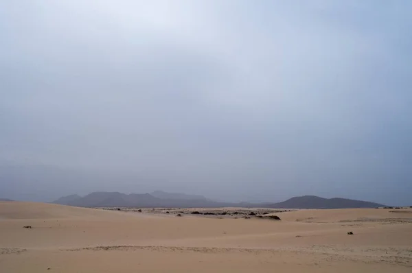 Wide Dry Desert Sand Dunes — Stock Photo, Image