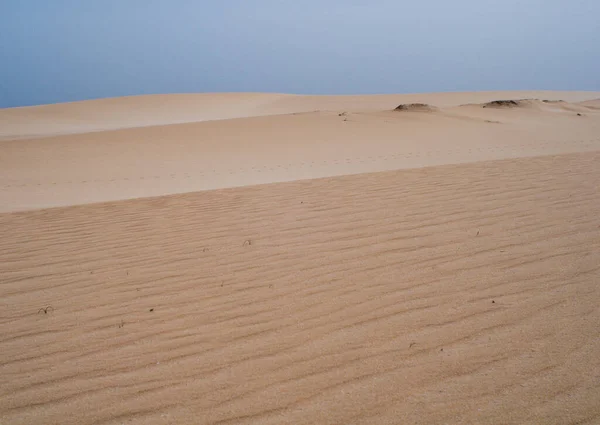 宽阔干枯的沙漠似的沙丘 — 图库照片