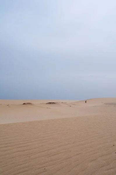 Wide Dry Desert Sand Dunes — Stock Photo, Image