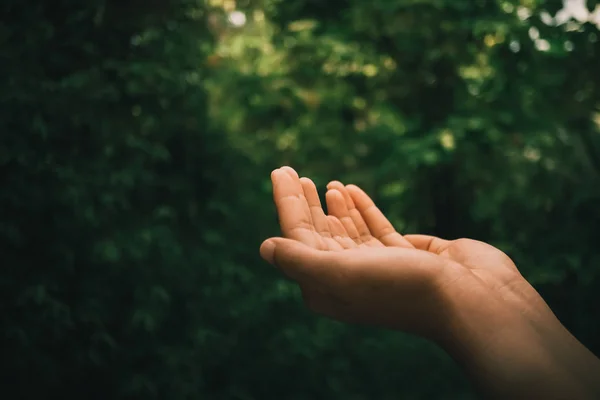 Kobieta Ręce Miejsce Razem Jak Modlić Przed Tle Natura Zielony — Zdjęcie stockowe