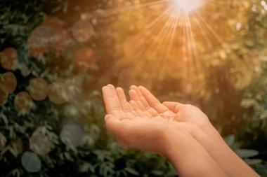 Kadın el yer doğa yeşil arka plan önünde dua etmek birlikte.