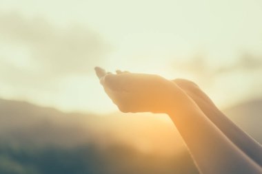 Kadın el yer doğa yeşil arka plan önünde dua etmek birlikte.