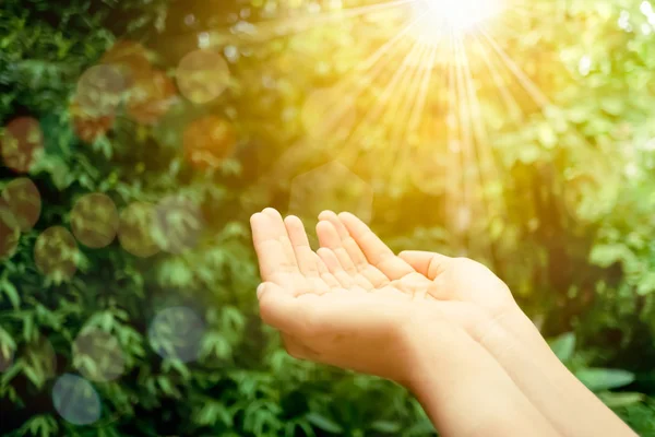 Vrouw Handen Plaats Elkaar Zoals Bidden Voor Natuur Groene Achtergrond — Stockfoto