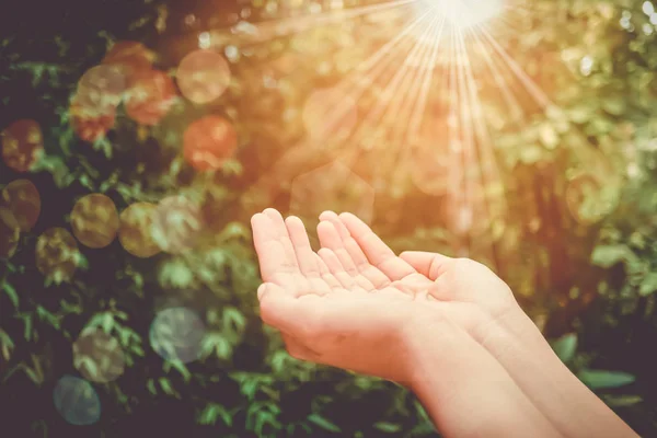 Woman hands place together like praying in front of nature green  background.