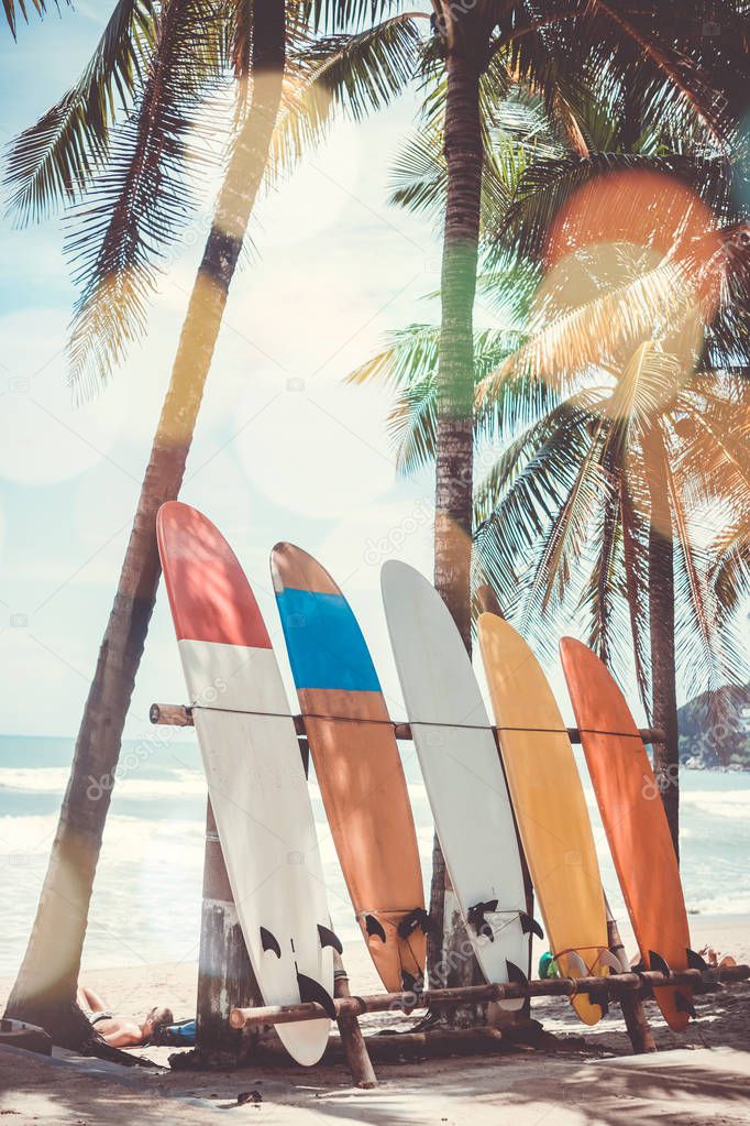 Many surfboards beside coconut trees at summer beach with sun light and blue sky background.