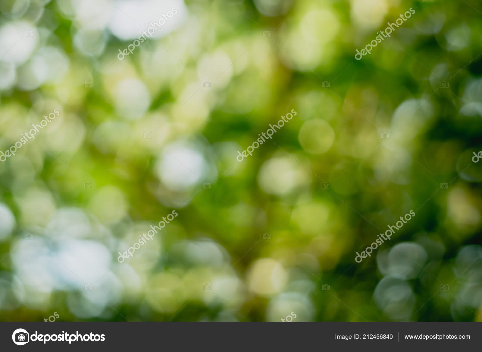 Sfuocatura Verde Della Natura Del Sole Colorato Astratto Del