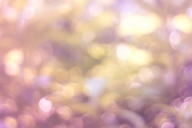 Yeşil doğa güneş ışığı renkli bokeh arka plan bulanıklık. Vintage pastel renk tonu stili.