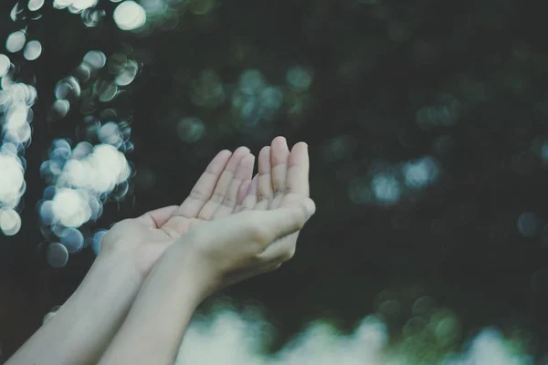 Mulher Mãos Lugar Juntos Como Orando Frente Natureza Bokeh Verde — Fotografia de Stock