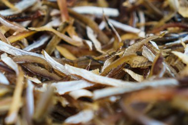 Gıda koruma balık ızgara üzerinde güneş baht tarafından kurutulmuş yapmak.