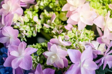 Güzel renkli çiçeklerin seçici odak noktası yaz bokeh arkaplanı. Klasik renk tarzı..