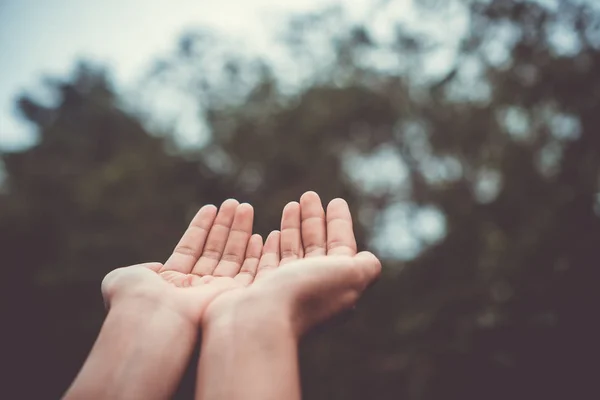 Mulher Mãos Lugar Juntos Como Orando Frente Natureza Bokeh Verde — Fotografia de Stock