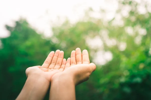 Kvinna Händer Placera Tillsammans Som Framför Naturen Grön Bokeh Och — Stockfoto