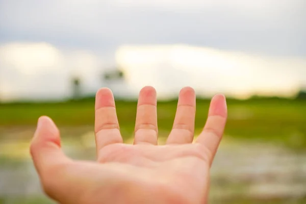 Woman hands reach out to the sky like praying in front of sky background.