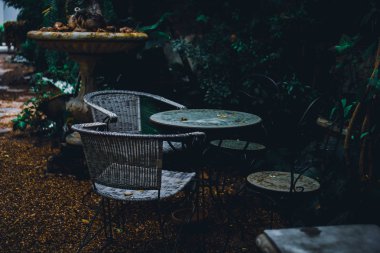 Tropikal İngilizce bahçe tarzı ev iç dekorasyon yeşil doğal arka planı için.