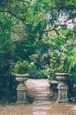 Tropikal İngilizce bahçe tarzı ev iç dekorasyon yeşil doğal arka planı için.