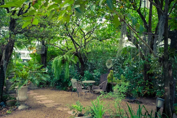 ホーム インテリア デコレーション グリーン自然な背景の熱帯のイングリッシュ ガーデン風 — ストック写真