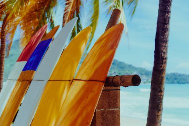 Yaz plajında hindistan cevizi ağaçlarının yanında sörf tahtaları var. Güneş ışığı ve mavi gökyüzü arka planı var..