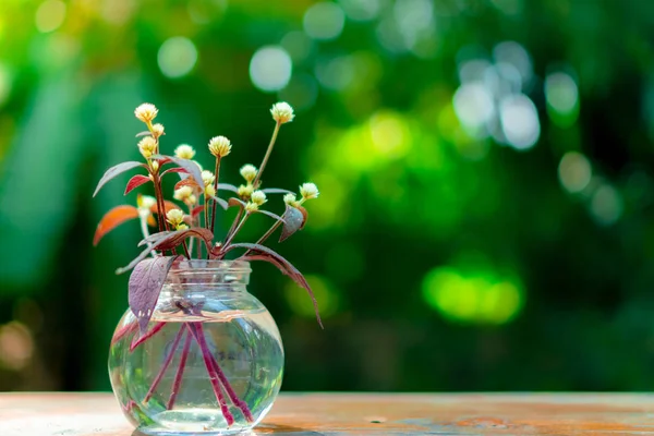 Güzel renkli çiçeklerin seçici odak noktası yaz bokeh arkaplanı. Klasik renk tarzı..