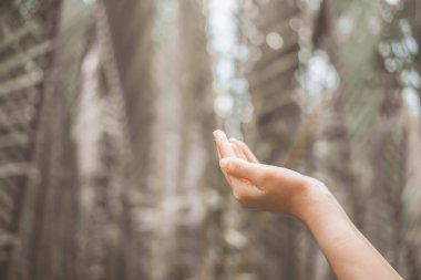 Kadın el yer doğa yeşil arka plan önünde dua etmek birlikte.