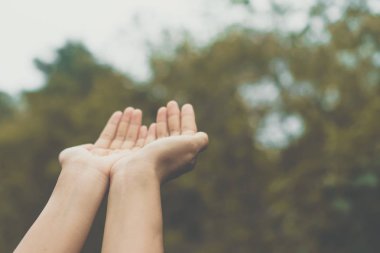 Kadın el yer doğa yeşil arka plan önünde dua etmek birlikte.