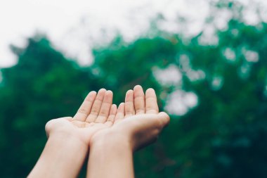Kadın el yer doğa yeşil arka plan önünde dua etmek birlikte.