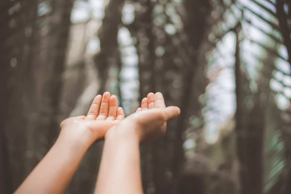 Woman hands place together like praying in front of nature green  background.