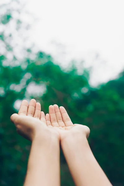 Mulher Mãos Lugar Juntos Como Rezar Frente Natureza Fundo Verde — Fotografia de Stock