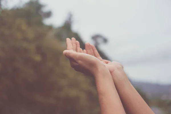 Woman hands place together like praying in front of nature green  background.