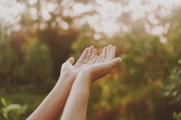 Γυναίκα Θέση Χέρια Μαζί Όπως Προσεύχονται Μπροστά Από Φύση Πράσινο — Φωτογραφία Αρχείου