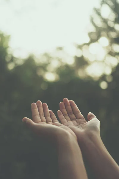 Руки Жінки Розміщуються Разом Молитва Перед Зеленим Тлом Природи — стокове фото