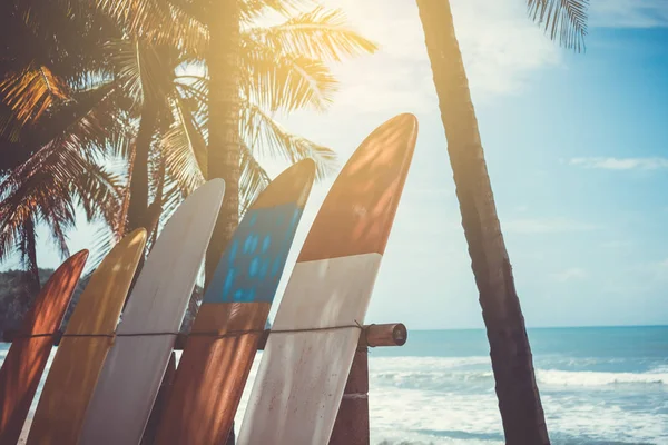 Wiele Desek Surfingowych Obok Drzew Kokosowych Letniej Plaży Słońcem Błękitnym — Zdjęcie stockowe