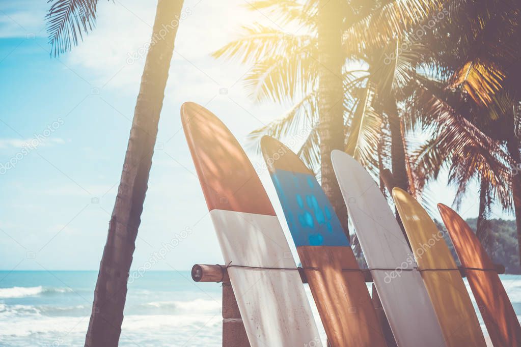 Many surfboards beside coconut trees at summer beach with sun light and blue sky background.