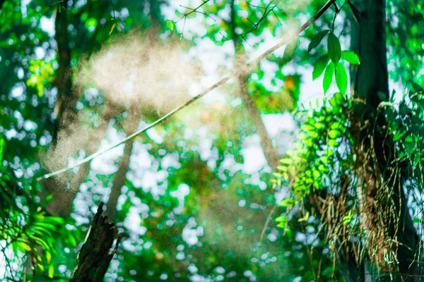 Bokeh groen natuurpark vervagen door strand en tropische kokosnoot bomen — Stockfoto