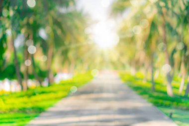 Bokeh yeşil Parkı plaj ve tropikal Hindistan cevizi ağaçları ile bulanıklık