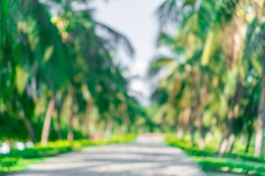 Bokeh yeşil Parkı plaj ve tropikal Hindistan cevizi ağaçları ile bulanıklık