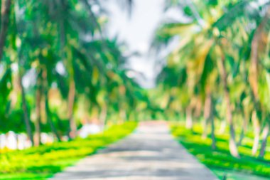 Bokeh yeşil Parkı plaj ve tropikal Hindistan cevizi ağaçları ile bulanıklık